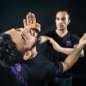 Mindful Wing Chun — Ip Man Lineage
