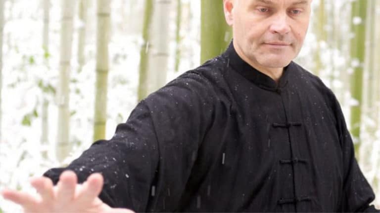 Intrinsic Energies of Internal Martial Arts with Sifu Mark Rasmus
