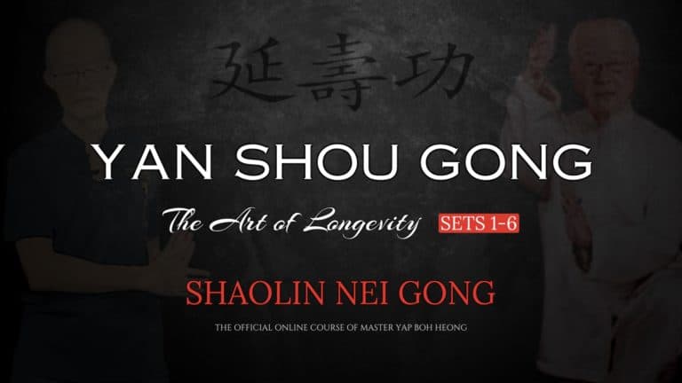 Yan Shou Gong - The Art of Longevity (Sets 1-6)