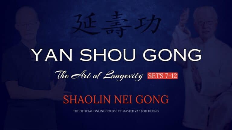 Yan Shou Gong - The Art of Longevity (Sets 7-12)