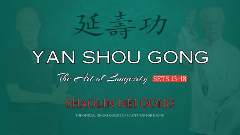 Yan Shou Gong – The Art of Longevity (Sets 13-18)