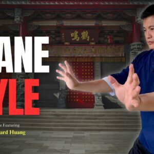 Crane Style Kung Fu: Mastering Ba Bu Lian 八步連