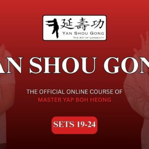 Yan Shou Gong - The Art of Longevity - Sets 19-24