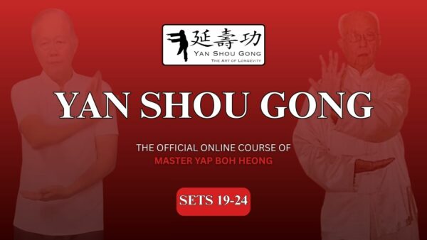 Yan Shou Gong - The Art of Longevity - Sets 19-24